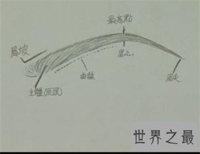 【图】送给世界上唯一无二的你眉毛的画法
