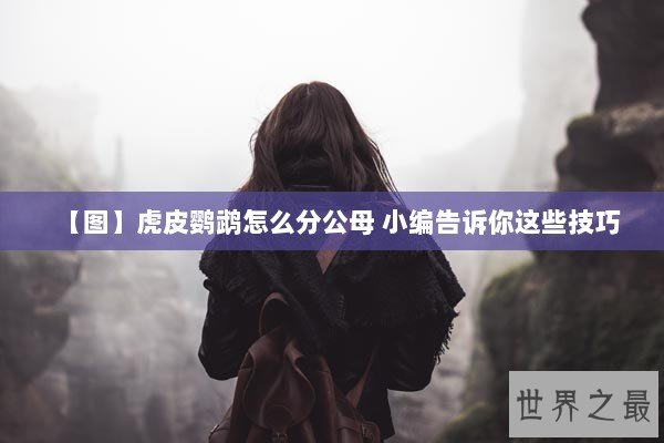 【图】虎皮鹦鹉怎么分公母 小编告诉你这些技巧