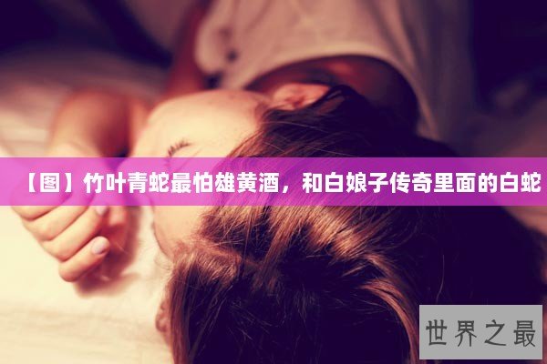 【图】竹叶青蛇最怕雄黄酒，和白娘子传奇里面的白蛇