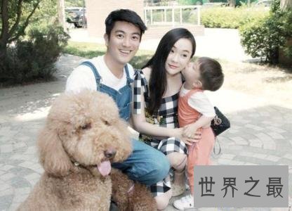 【图】巨型泰迪发情会来大姨妈 喂养它要留意这些事项