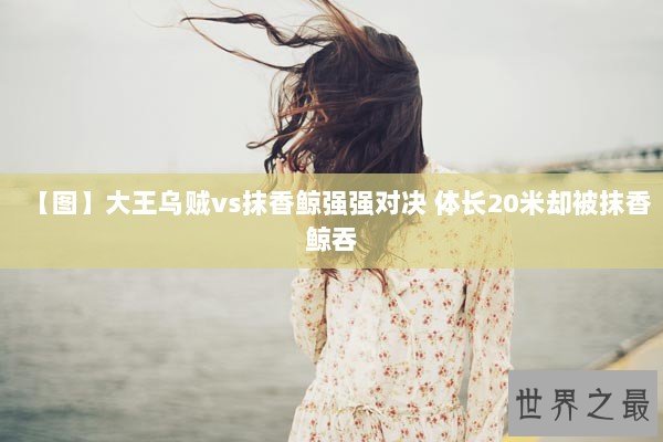 【图】大王乌贼vs抹香鲸强强对决 体长20米却被抹香鲸吞