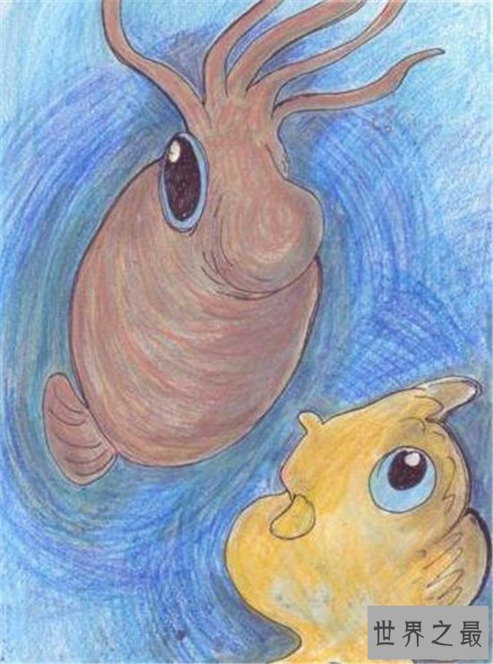 【图】小猪章鱼可谓世界最奇异的陆地生物之一 长得像