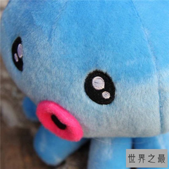 【图】小猪章鱼可谓世界最奇异的陆地生物之一 长得像