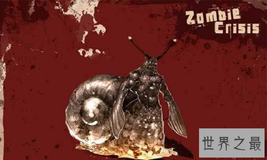 【图】最恐惧的存在“僵尸蜗牛”，事实版动物大战僵