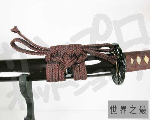 【图】我家后院通向武侠世界之咱们最爱的琥珀之剑