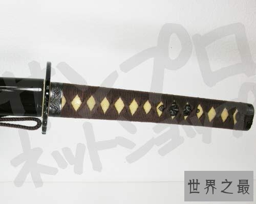 【图】我家后院通向武侠世界之咱们最爱的琥珀之剑