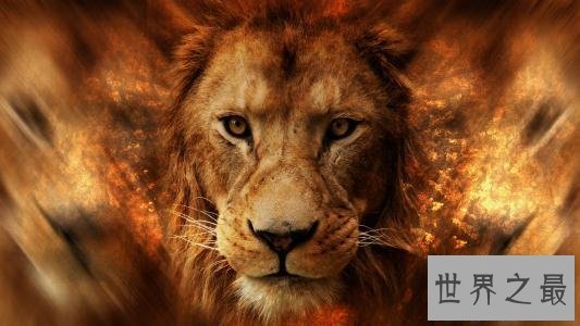 【图】双鱼男外柔内刚，到底招不招女孩子青睐，双鱼