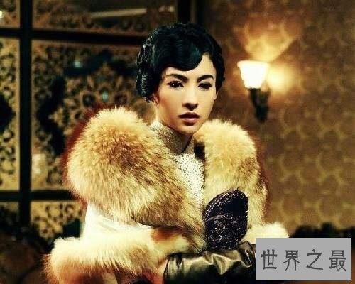 【图】一同来了解上海社会档案，一同来了解老上海