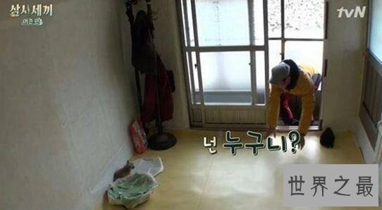 【图】韩国接地气综艺三时三餐，明星下乡体验生存