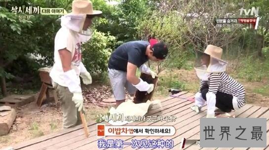 【图】韩国接地气综艺三时三餐，明星下乡体验生存