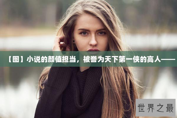 【图】小说的颜值担当，被誉为天下第一侠的高人——