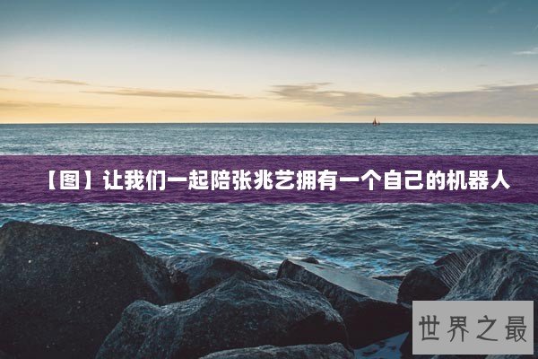【图】让我们一起陪张兆艺拥有一个自己的机器人