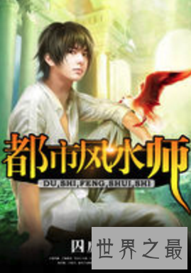 【图】古代都市奇幻类小说，都市风水师