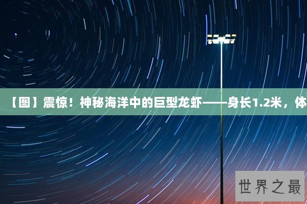 【图】震惊！神秘海洋中的巨型龙虾——身长1.2米，体