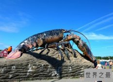 【图】震惊！神秘海洋中的巨型龙虾——身长1.2米，体