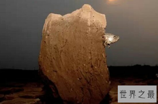【图】世界上最神奇的杜兹肺鱼 被烈日暴晒4年不死的鱼