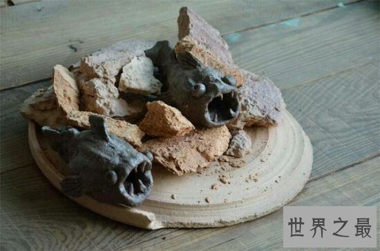 【图】世界上最神奇的杜兹肺鱼 被烈日暴晒4年不死的鱼