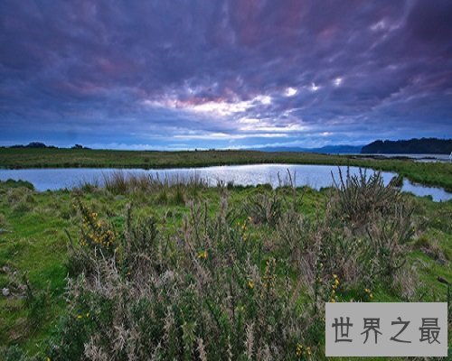 【图】处处表现着帝王的至高无上的词——九五之尊