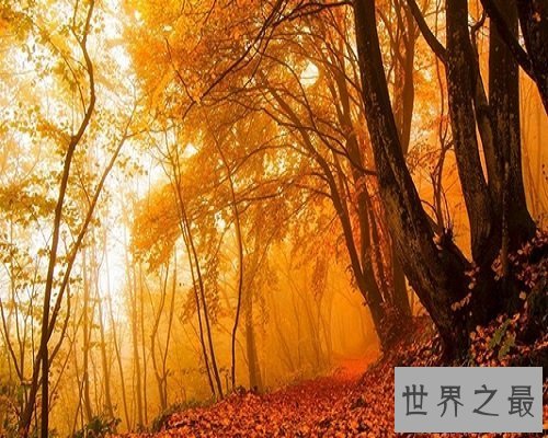 【图】处处表现着帝王的至高无上的词——九五之尊