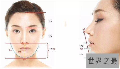 【图】清点领有黄金比例脸的明星 黄金比例脸标准引见