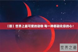 【图】世界上最可爱的动物 每一种都融化你的心！