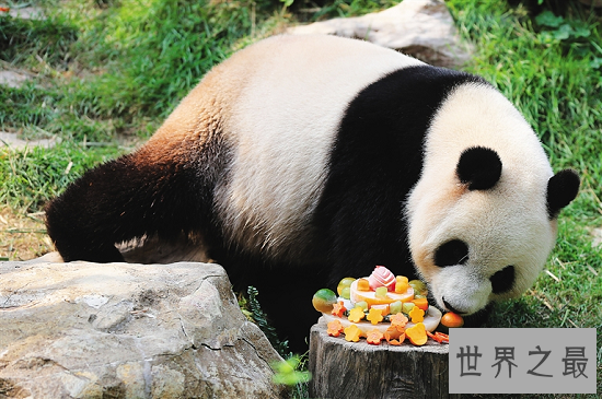 【图】世界上最可恶的动物 每一种都融化你的心!