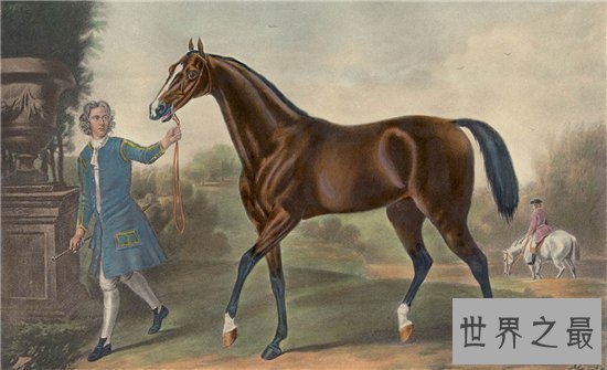 【图】一分钟让你看懂什么是纯血马 世界短速最快最有