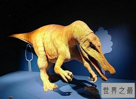 【图】历史上最大的恐龙 相当于几十头大象的易碎双腔