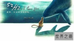 【图】你听过52赫兹鲸的故事么 世界上最孤独的鲸鱼