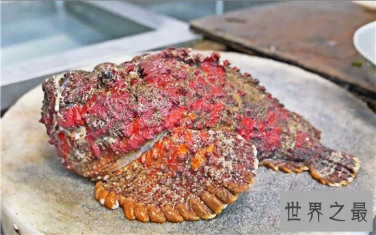 【图】十大世界上最毒的动物 第一竟然长得这么萌