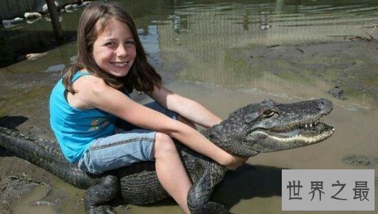 【图】老人和宠物鳄鱼相处34年 每天和它一同散步