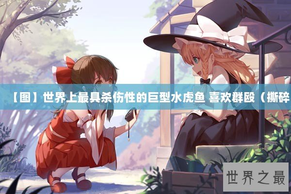 【图】世界上最具杀伤性的巨型水虎鱼 喜欢群殴(撕碎 【图】世界上最具杀伤性的巨型水虎鱼 喜欢群殴(撕碎