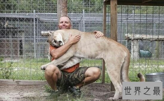 【图】世界十大濒危动物,再不看一辈子都看不到了