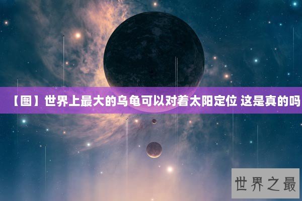 【图】世界上最大的乌龟可以对着太阳定位 这是真的吗