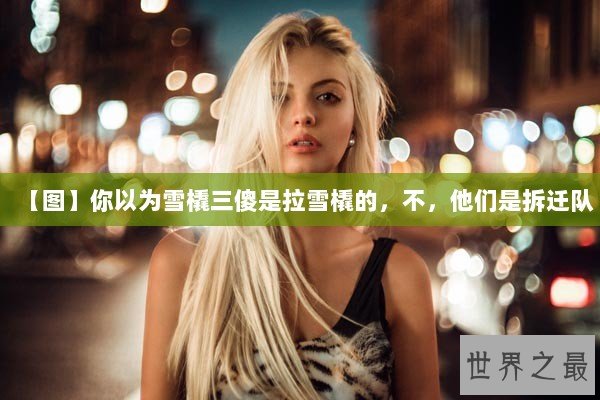 【图】你以为雪橇三傻是拉雪橇的，不，他们是拆迁队