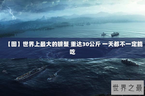 【图】世界上最大的螃蟹 重达30公斤 一天都不一定能吃