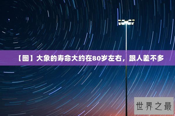 【图】大象的寿命大约在80岁左右，跟人差不多