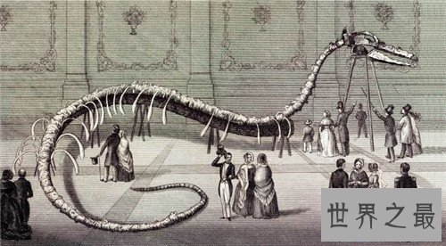 【图】龙王鲸是如何灭绝的 曾是海陆大型爬举动物