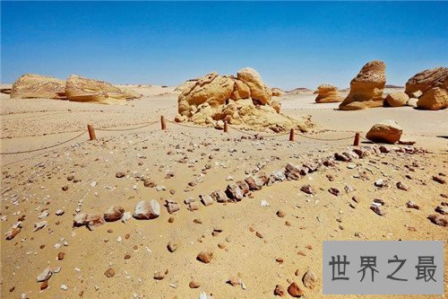 【图】龙王鲸是如何灭绝的 曾是海陆大型爬举动物