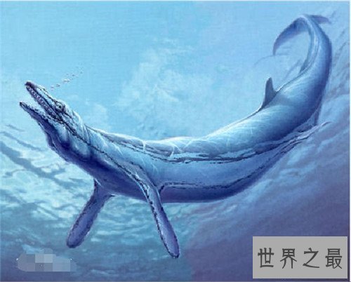 【图】龙王鲸是如何灭绝的 曾是海陆大型爬举动物