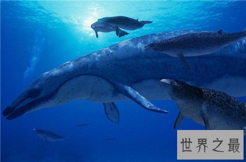 【图】龙王鲸是如何灭绝的 曾是海陆大型爬举动物