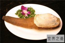 【图】象拔蚌的功效及作用介绍 怎样的人不能食用象拔