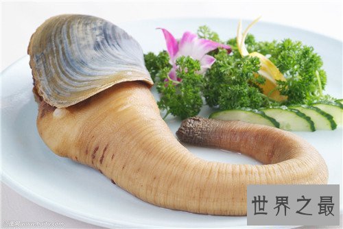 【图】象拔蚌的效用及作用引见 怎么的人不能食用象拔