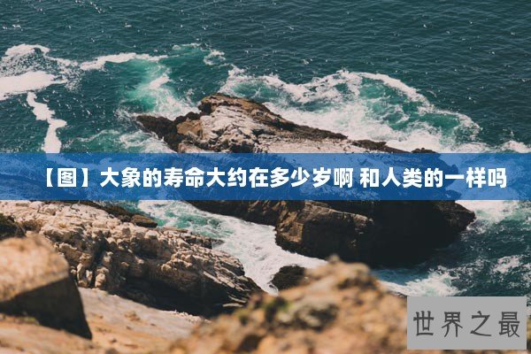 【图】大象的寿命大约在多少岁啊 和人类的一样吗