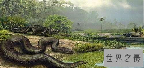 【图】清点从侏罗纪时代至今最大的蛇 有一种能吃霸王