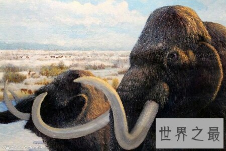 【图】世界上灭绝动物都有哪些 它们是怎样样灭绝的