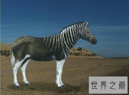 【图】世界上灭绝动物都有哪些 它们是怎样样灭绝的