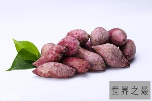 【图】孕妇不能吃哪些食物，哪些食物适宜孕妇吃对宝