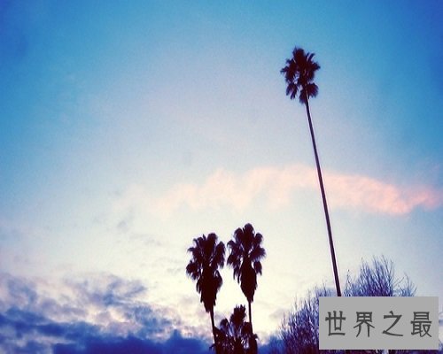 【图】博通群书，潜乐道术的医圣——张仲景