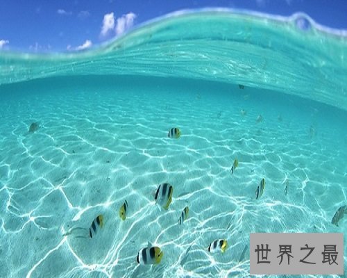 【图】博通群书，潜乐道术的医圣——张仲景